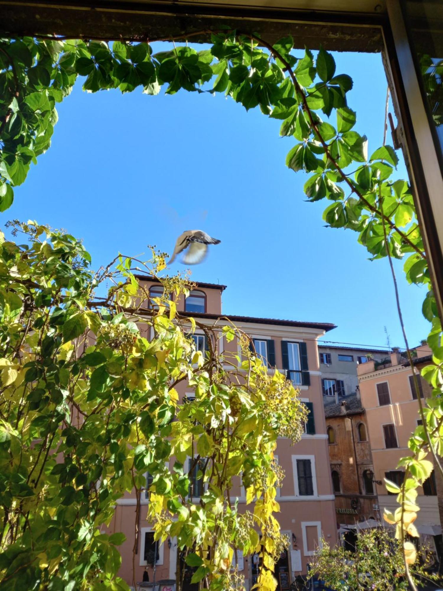 Central Apartment In Trastevere Rom Zimmer foto